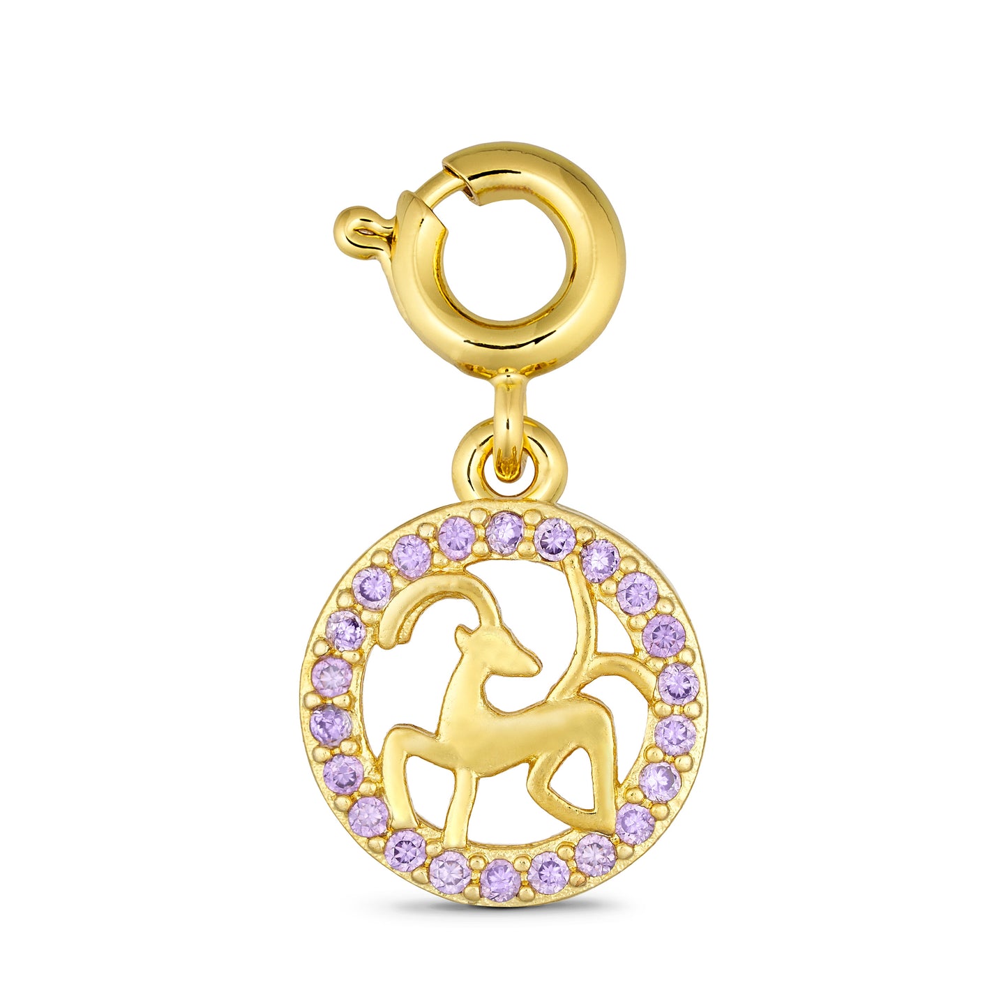 ANNEBRAUNER Steenbok Charm (Steenbok Sterrenbeeld)