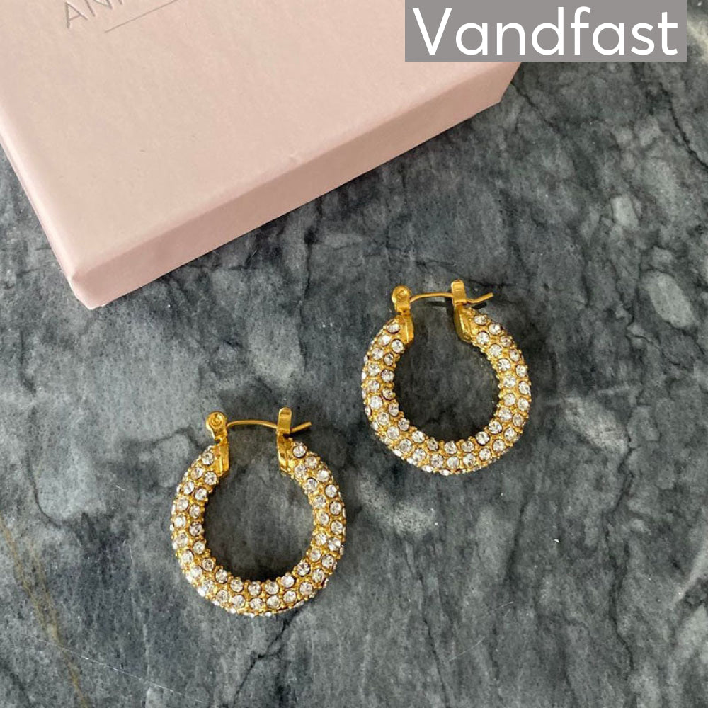 Annebrauner Big Sparkling Party Earrings