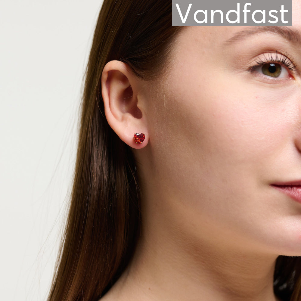 Annebrauner Love Of My Live Earrings