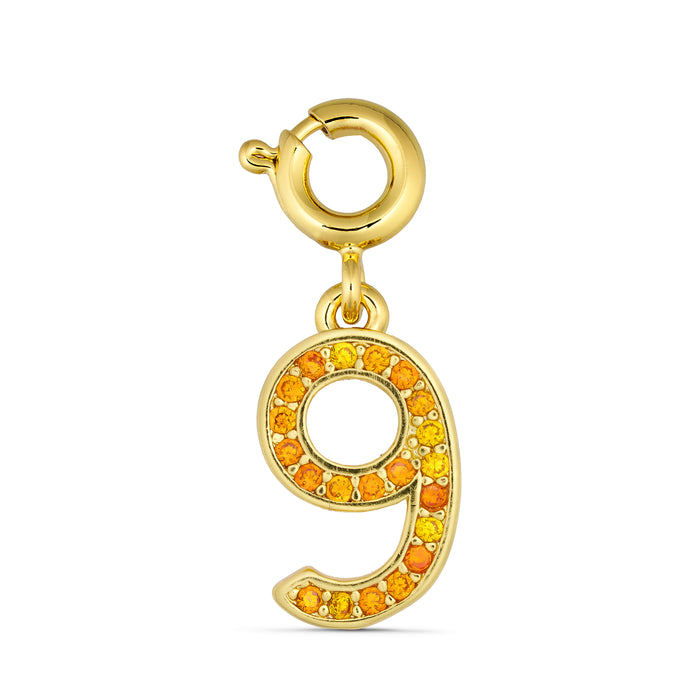 ANNEBRAUNER Nummer 9 Charm